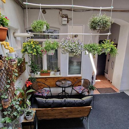 Studio Unikat Brasov Bagian luar foto